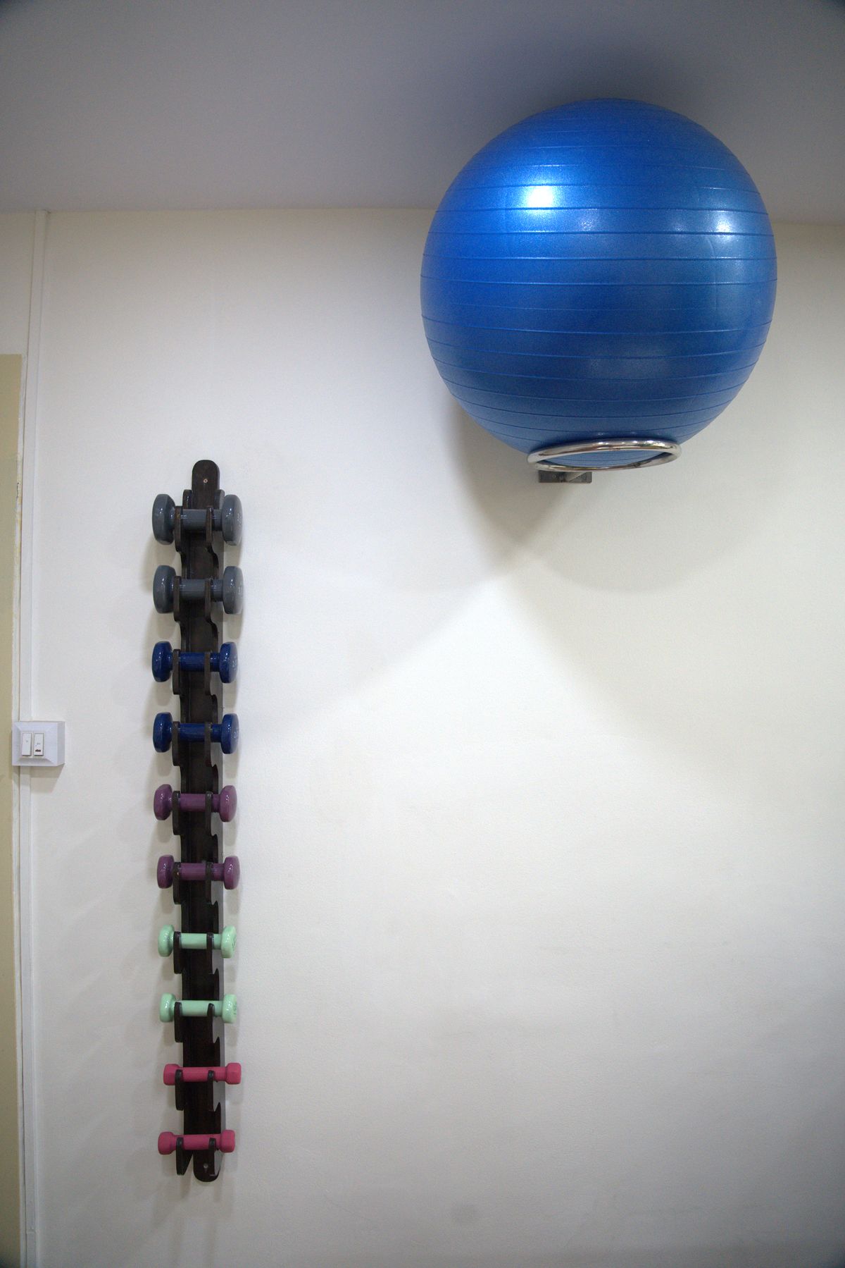 Dumbbells and exercise ball