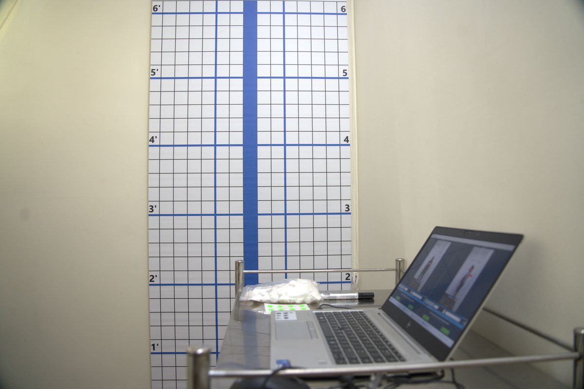 Postural Lab calibrated grid system
